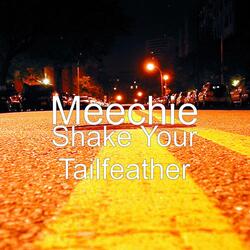 Shake Your Tailfeather