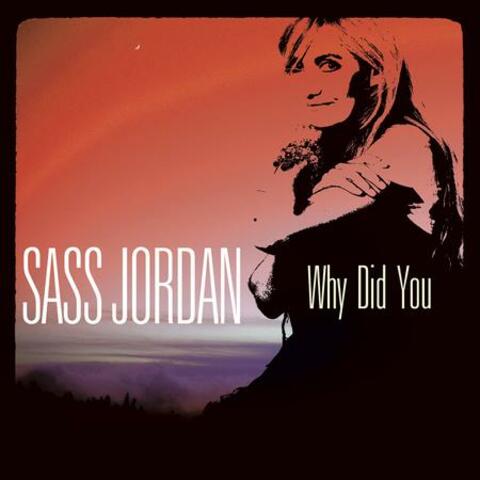 Why Did You