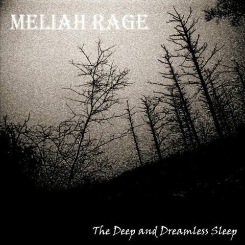 The Deep And Dreamless Sleep