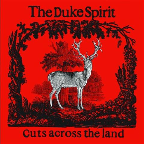 Cuts Across The Land