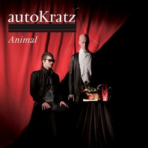 Animal