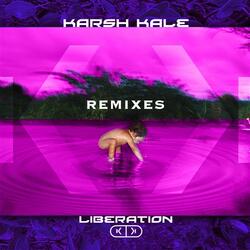 Letting Go (The Gaurav Raina Breaks Mix)