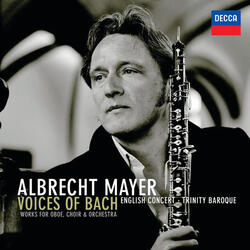 3. Allegro