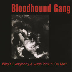 Why's Everybody Always Pickin' On Me?