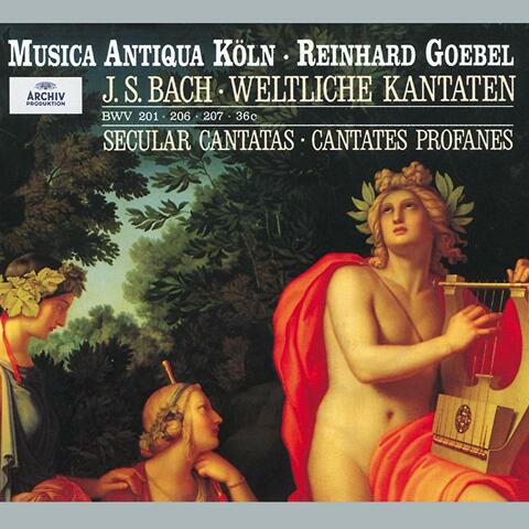 Bach: Secular Cantatas, BWV 36c, 201, 206, 207, Quodlibet BWV 524