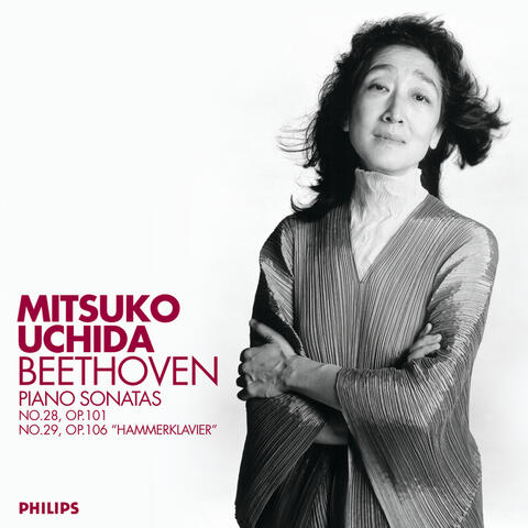 Beethoven: Piano Sonatas  Nos.28 & 29