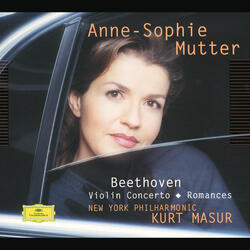 3. Rondo. Allegro (Cadenza: Fritz Kreisler)