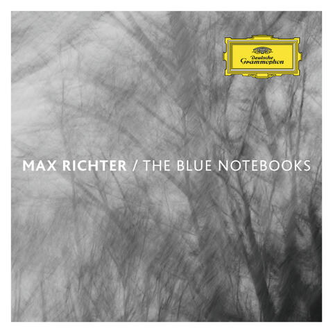 Max Richter Orchestra