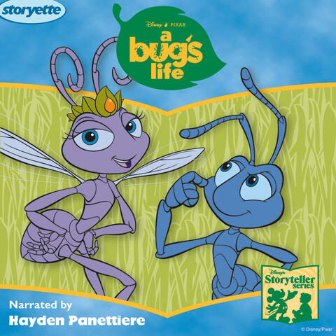 A Bug's Life