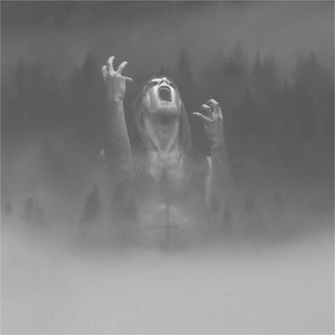 Taake
