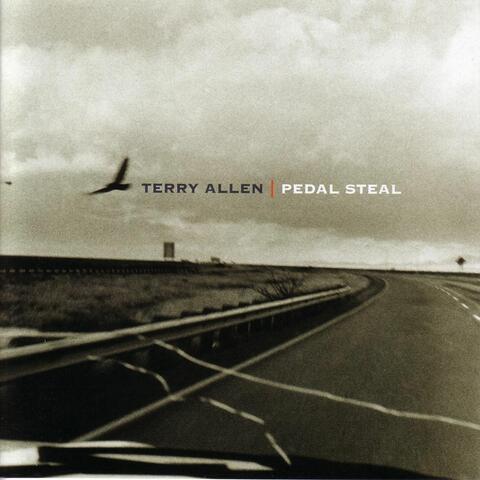 Pedal Steel