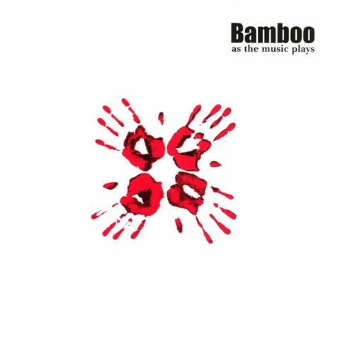 Bamboo