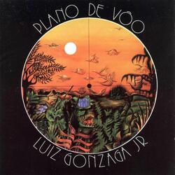 Plano De Vôo