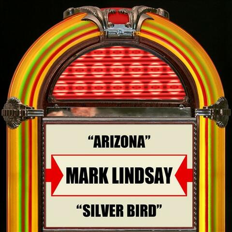 Arizona / Silver Bird (Rerecorded Version)