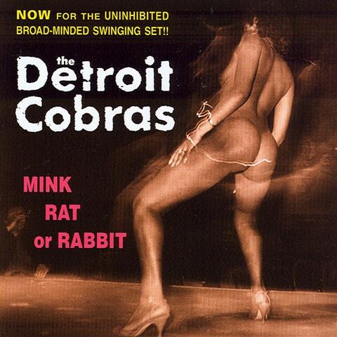 Mink Rat Or Rabbit