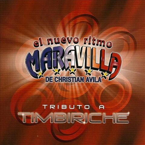 Tribute A Timbiriche, El Nuevo Ritmo Maravilla De Christian Avila