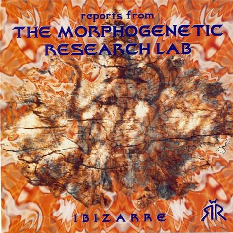 Morphogenesis