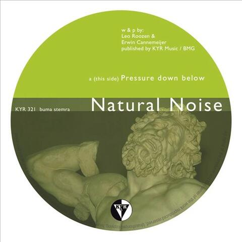 Natural Noise