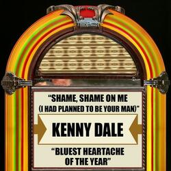 Shame, Shame On Me (I Had Planned To Be Your Man) (Rerecorded)