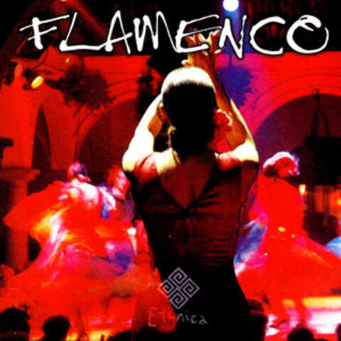 FLAMENCO GUITAR