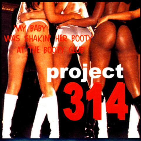 Project 314