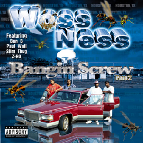 Bangin' Screw Pt. 2