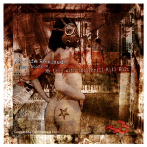 My Life Remixed- A Remix Tribute