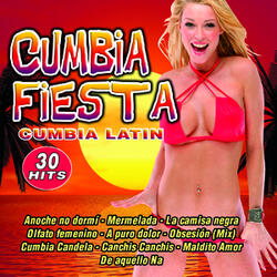 La Camisa Negra|cumbia