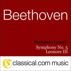 Symphony No. 5 in C minor, Op. 67 (Beethoven's Fifth) - Andante con moto