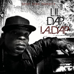 Intro I.A.DAP