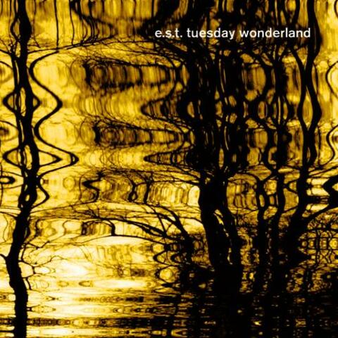 E.S:T. Tuesday Wonderland