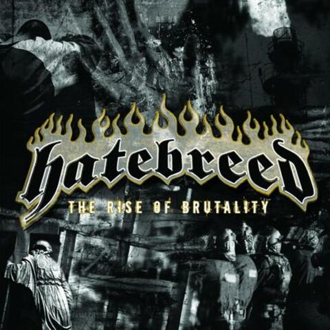 The Rise of Brutality