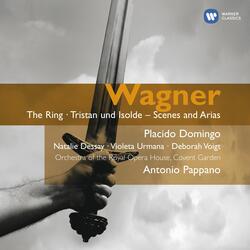 Wagner: Siegfried, Act 2: "Nun sing! Ich lausche dem Gesang" (Siegfried, Waldvogel)