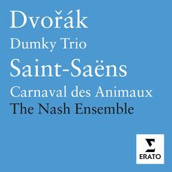 Saint-Saëns: Le carnaval des animaux, R 125: XI. Pianistes