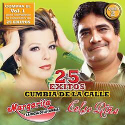Aunque no sea conmigo (feat. Café Tacvba)