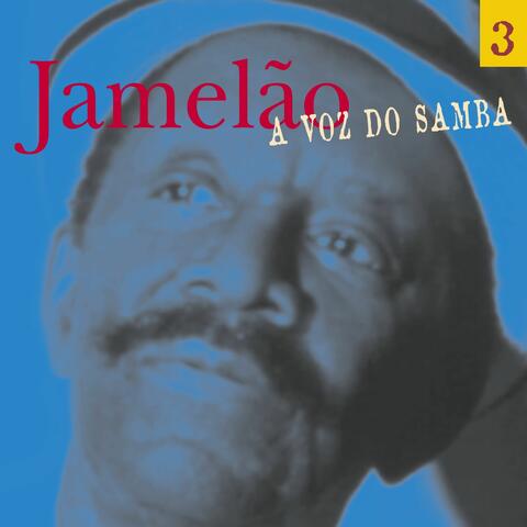 A Voz Do Samba