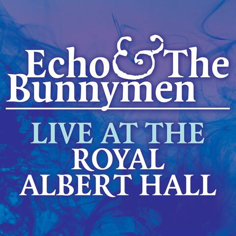 Live at the Royal Albert Hall