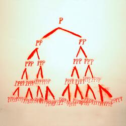 Misshaping Introduction