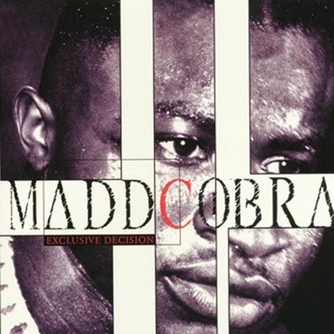 Madd Cobra