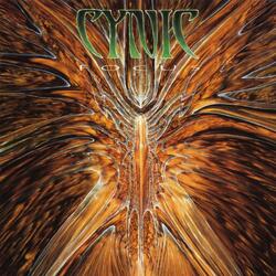 Veil of Maya