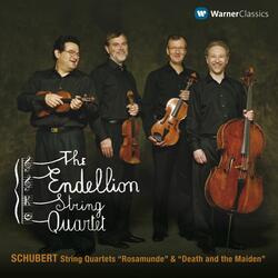 Schubert: String Quartet No. 14 in D Minor, D. 810 "Death and the Maiden": I. Allegro