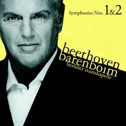 Beethoven: Symphony No. 2 in D Major, Op. 36: IV. Allegro molto