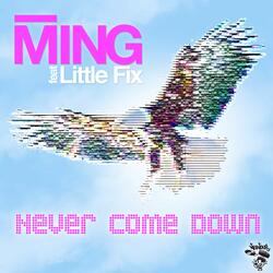 Never Come Down (feat. Little Fix) [Full Chorus Radio Edit]