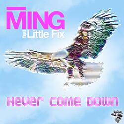Never Come Down feat. Little Fix (Original Mix)