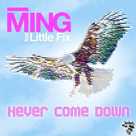 Never Come Down feat. Little Fix