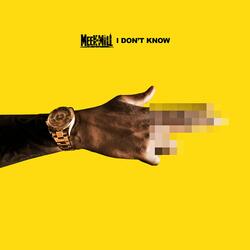 I Don't Know (feat. Paloma Ford)