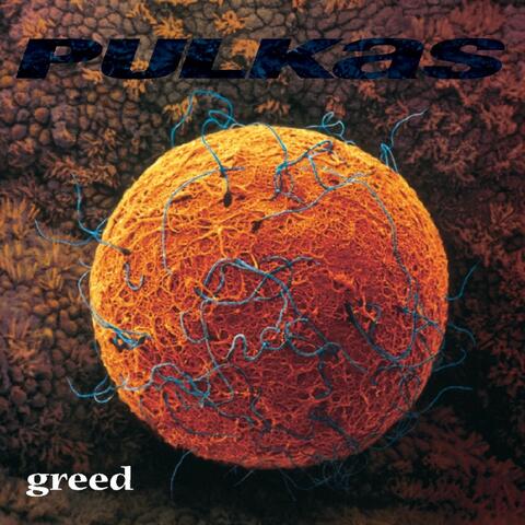Pulkas