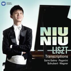 No.6 in A minor (Theme with Variations)