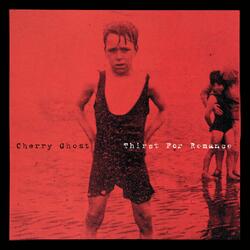 Here Come the Romans