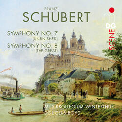 Symphony No. 8 in C Major, D 944: III. Andante con moto